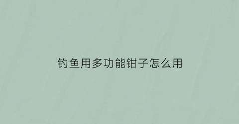 “钓鱼用多功能钳子怎么用(钓鱼用的钳子)