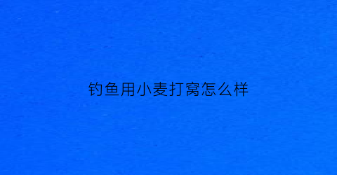 钓鱼用小麦打窝怎么样(小麦打窝钓鲫鱼)