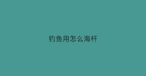 钓鱼用怎么海杆(用海杆怎么钓大鱼)