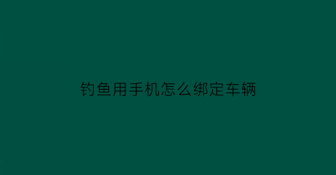 “钓鱼用手机怎么绑定车辆(手机上钓鱼网站怎么办)