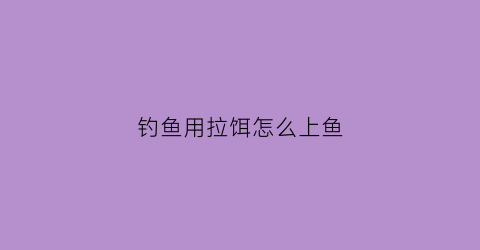 钓鱼用拉饵怎么上鱼(钓鱼用拉饵怎么上鱼的)