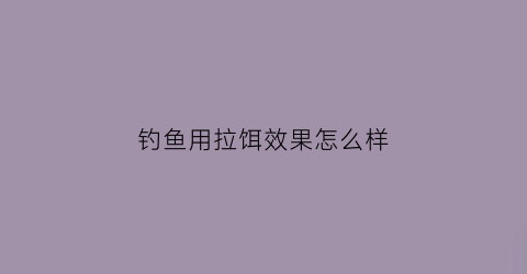 钓鱼用拉饵效果怎么样(拉饵好用吗)