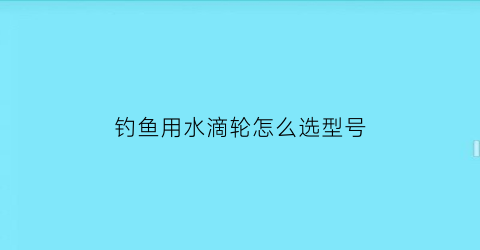 钓鱼用水滴轮怎么选型号(水滴轮用什么鱼饵最好)