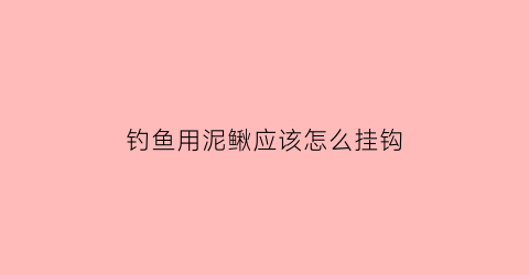 钓鱼用泥鳅应该怎么挂钩(泥鳅怎么样挂钩)