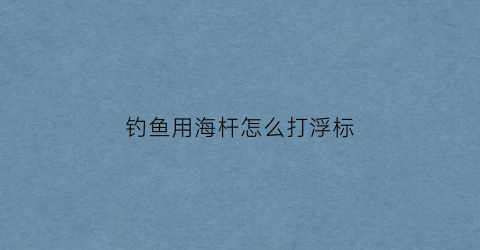 “钓鱼用海杆怎么打浮标(钓鱼用海杆怎么打浮标视频)