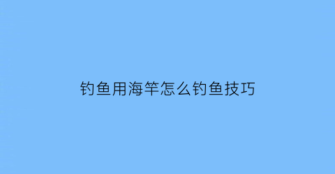 钓鱼用海竿怎么钓鱼技巧(怎样用海竿钓鱼视频教程)