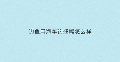 “钓鱼用海竿钓翘嘴怎么样(海竿钓翘嘴视频教程)