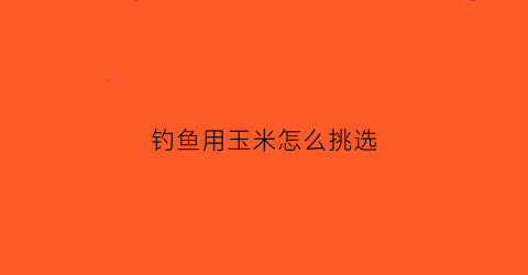 钓鱼用玉米怎么挑选(钓玉米用什么钩型好)