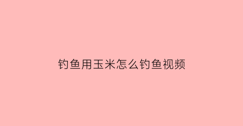 钓鱼用玉米怎么钓鱼视频(怎么样用玉米钓鱼)