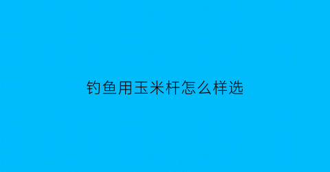 钓鱼用玉米杆怎么样选(玉米竿子)