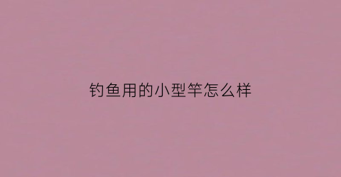 钓鱼用的小型竿怎么样(小鱼竿推荐)