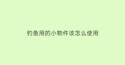 钓鱼用的小物件该怎么使用(钓鱼小件大全)
