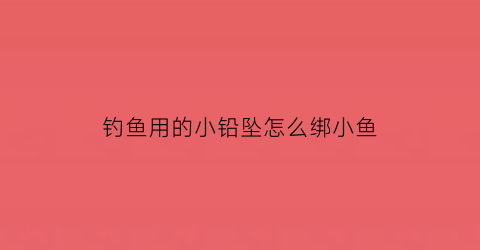 “钓鱼用的小铅坠怎么绑小鱼(钓鱼铅坠制作视频)