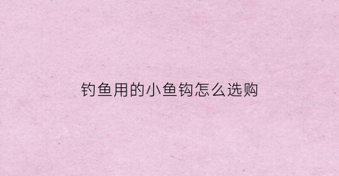 钓鱼用的小鱼钩怎么选购(钓鱼用的小鱼钩怎么选购好)