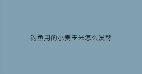 “钓鱼用的小麦玉米怎么发酵(小麦玉米发酵做窝料方法)