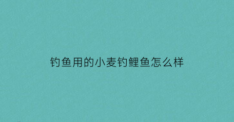 钓鱼用的小麦钓鲤鱼怎么样(小麦钓鲤鱼的最佳配方)