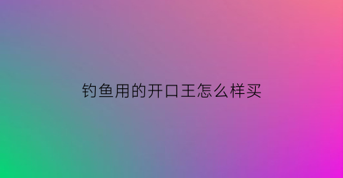 钓鱼用的开口王怎么样买