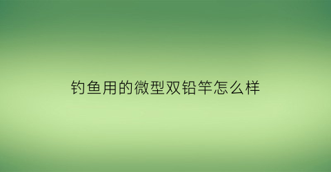 钓鱼用的微型双铅竿怎么样(微铅钓法视频教程)
