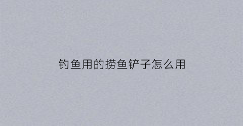 钓鱼用的捞鱼铲子怎么用(捞鱼工具叫什么)