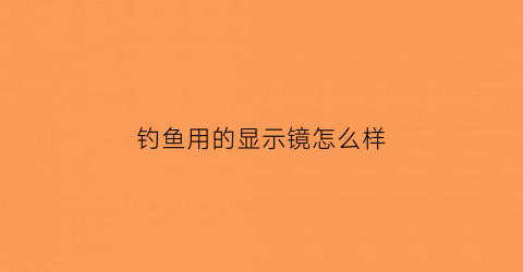 钓鱼用的显示镜怎么样(钩鱼带显示屏的钩鱼杆)