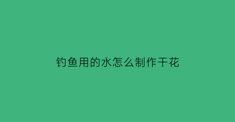 “钓鱼用的水怎么制作干花(自制钓鱼干)