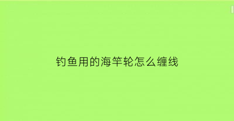 钓鱼用的海竿轮怎么缠线(海竿轮怎么缠线视频)