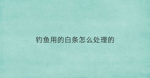 钓鱼用的白条怎么处理的(钓白条用什么好)