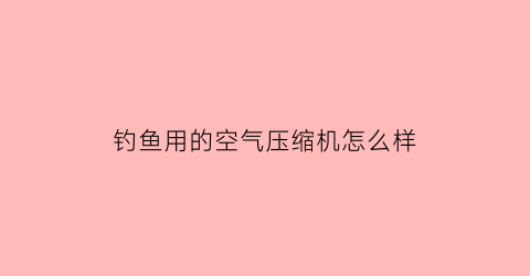 钓鱼用的空气压缩机怎么样(空气压缩机可以给鱼打氧吗)
