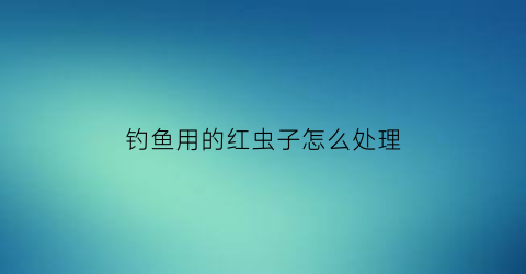 钓鱼用的红虫子怎么处理(钓鱼用的红虫是不是有毒)