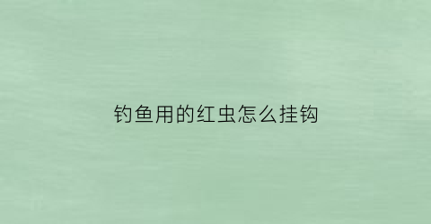 “钓鱼用的红虫怎么挂钩(用红虫钓鱼是怎么挂在钩子上的)