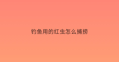 钓鱼用的红虫怎么捕捞