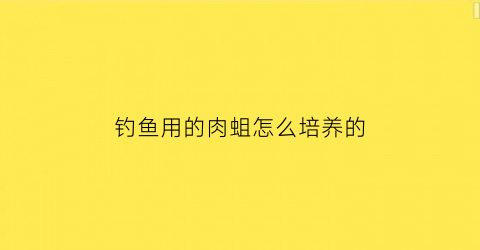 钓鱼用的肉蛆怎么培养的