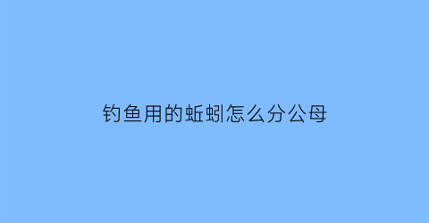 “钓鱼用的蚯蚓怎么分公母(蚯蚓钓鱼怎么看漂相)