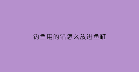 钓鱼用的铅怎么放进鱼缸(钓鱼铅的作用)