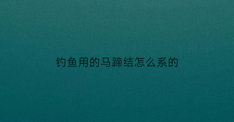 “钓鱼用的马蹄结怎么系的(钓鱼线马蹄扣的结怎么打)