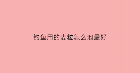 “钓鱼用的麦粒怎么泡最好(钓鱼麦粒制作配方)