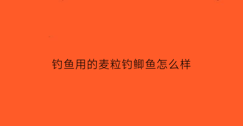 “钓鱼用的麦粒钓鲫鱼怎么样(野钓鲫鱼用麦粒怎么样)