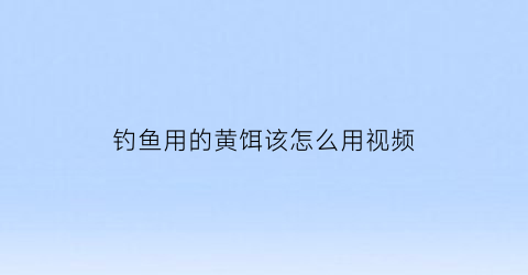 钓鱼用的黄饵该怎么用视频