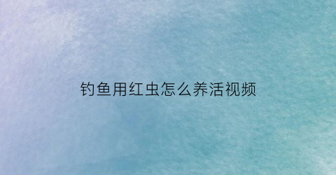 “钓鱼用红虫怎么养活视频(钓鱼用红虫怎么用)