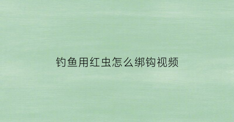 钓鱼用红虫怎么绑钩视频(钓鱼用红虫怎么绑钩视频教学)
