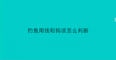 钓鱼用线和钩该怎么判断