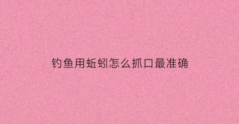 钓鱼用蚯蚓怎么抓口最准确(用蚯蚓怎么钓到鱼)