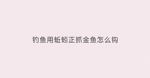 钓鱼用蚯蚓正抓金鱼怎么钩(用蚯蚓能钓到什么鱼视频)