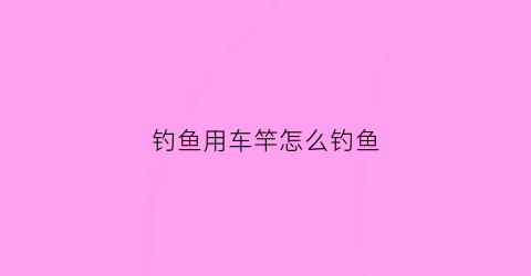 钓鱼用车竿怎么钓鱼(钓鱼车杆如何使用视频)