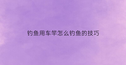 “钓鱼用车竿怎么钓鱼的技巧(车钓竿钓鱼视频)