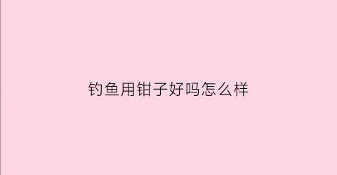 钓鱼用钳子好吗怎么样(钓鱼钳子什么牌子好用)