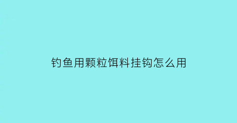 “钓鱼用颗粒饵料挂钩怎么用(钓鱼颗粒饵料的挂法)