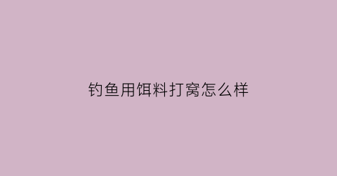 “钓鱼用饵料打窝怎么样(钓鱼用饵料打窝怎么样好用吗)