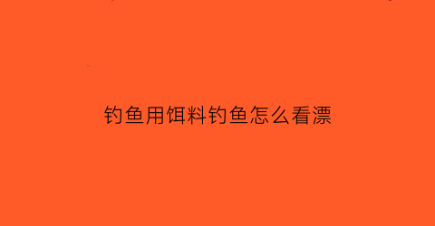 “钓鱼用饵料钓鱼怎么看漂(野钓怎么判断饵料没有了)