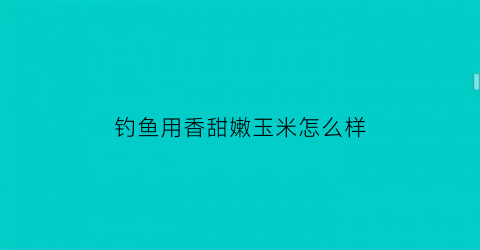 钓鱼用香甜嫩玉米怎么样(香甜玉米粒钓鱼好用吗)